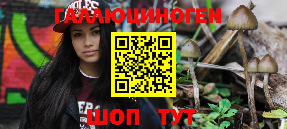 Протвино  Галлюциногенные грибы Psilocybine cubensis  Вход с VPN 